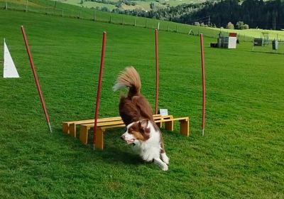 Agility 2025