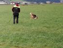 img 20231210 wa0004