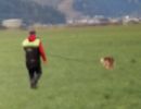 img 20231210 wa0005