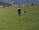 img 20231210 wa0006