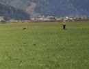 img 20231210 wa0008