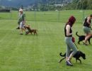 img 20240817 wa0024