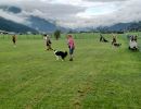 img 20240818 wa0009