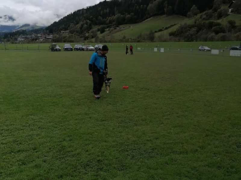 img 20231219 wa0004