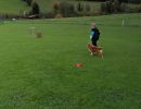 img 20231219 wa0005