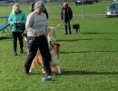 img 20231219 wa0010
