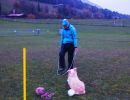 img 20231225 wa0011