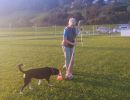 img 20231225 wa0027