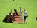 dsc